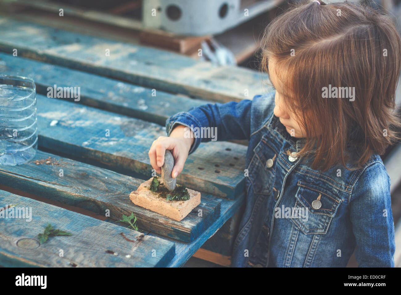Girl (2-3) pressing stone against grass Stock Photo