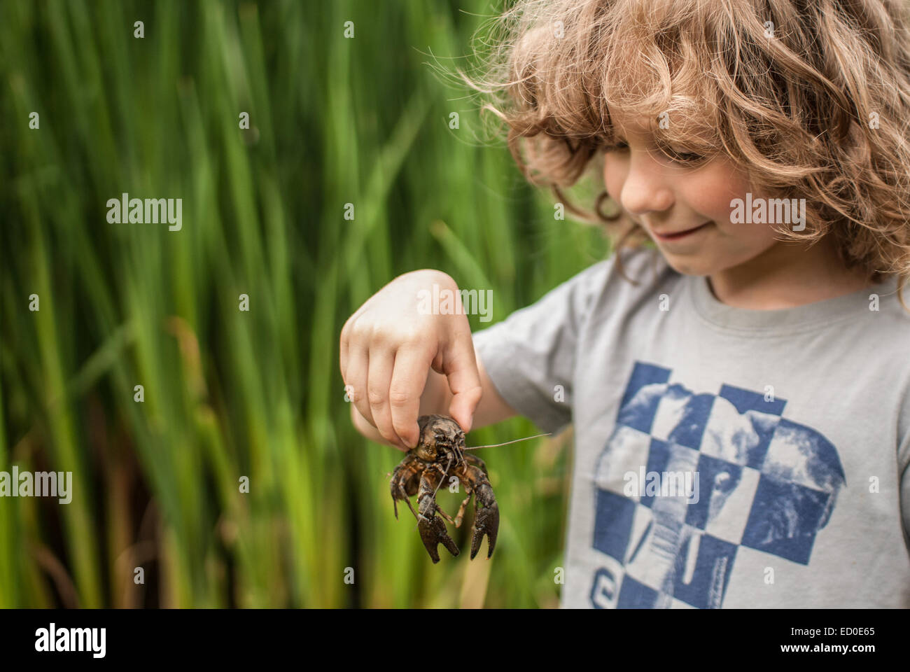 Portrait of boy (4-5) holding a crab Stock Photo