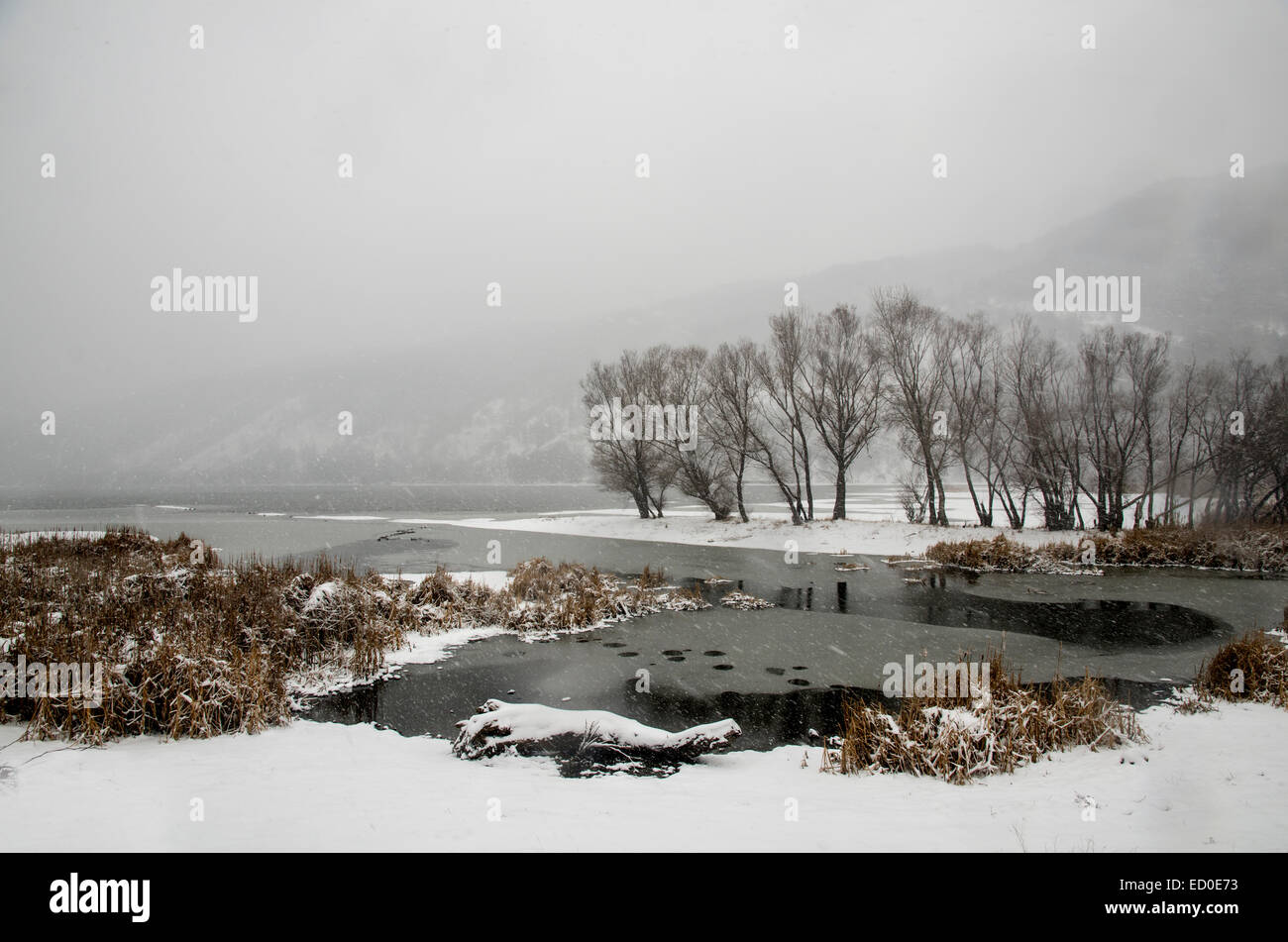 Winter landscape with frozen water and fog, Bulgaria Stock Photo - Alamy