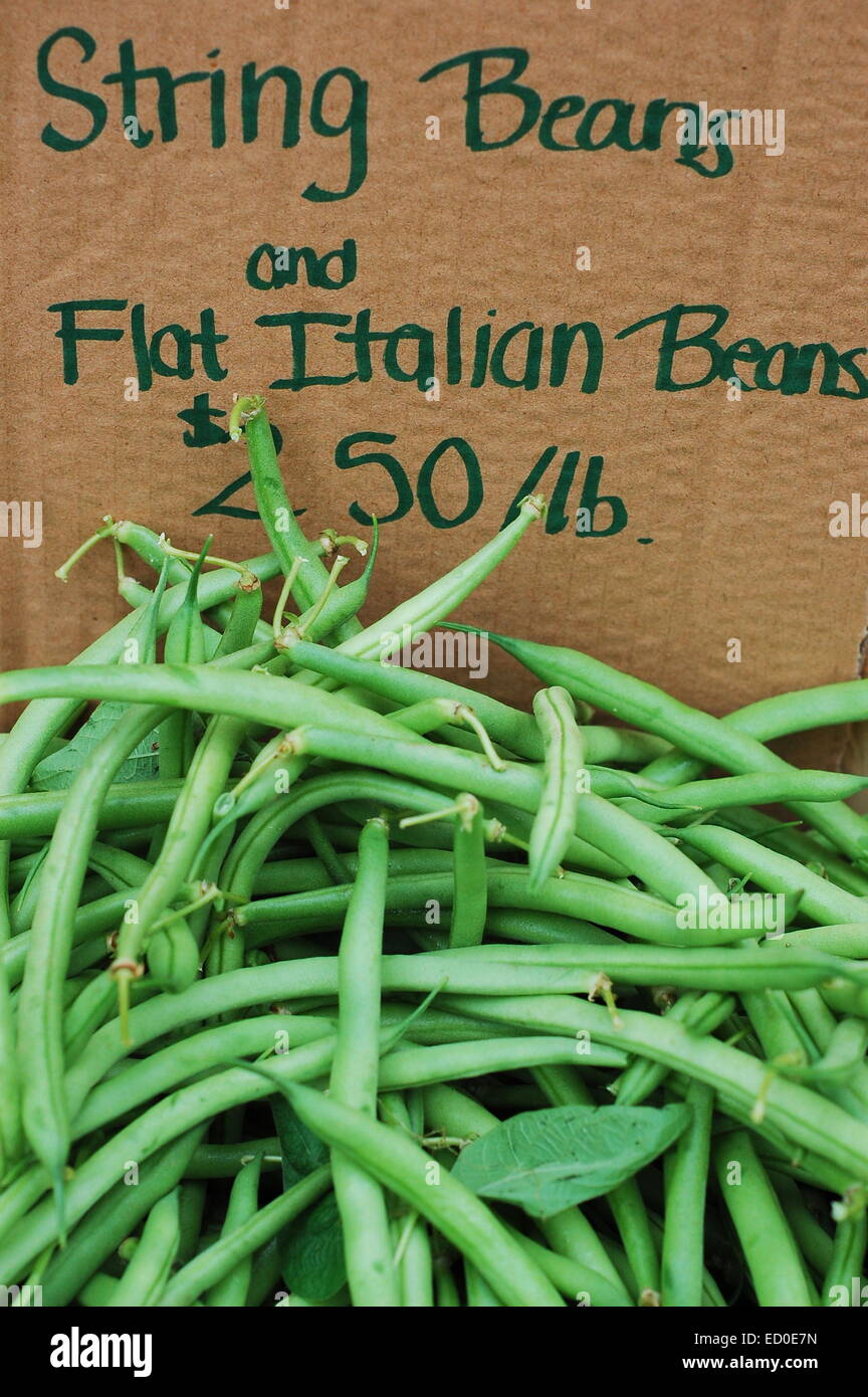 USA, Massachusetts, Boston, Runner beans with price tag Stock Photo Alamy