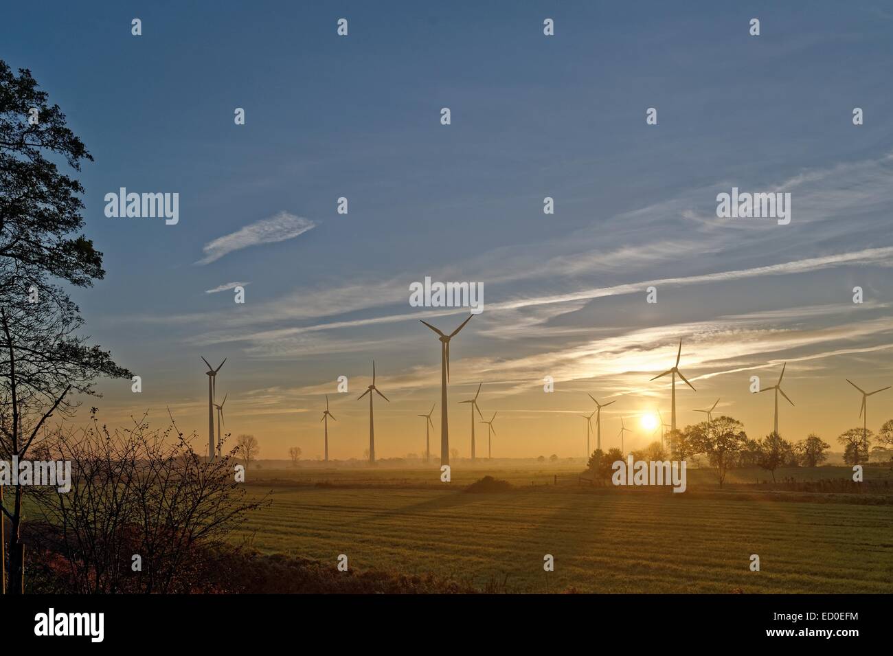 Germany, Ostfriesland, Spetzerfehn, Morning sun over wind turbines Stock Photo