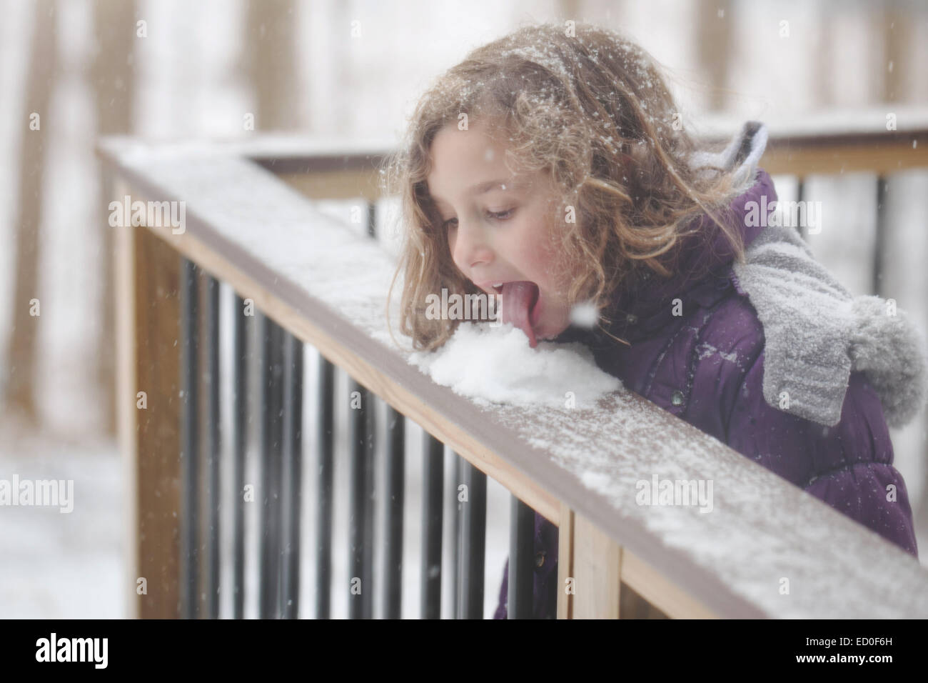 Girl (6-7) licking snow Stock Photo