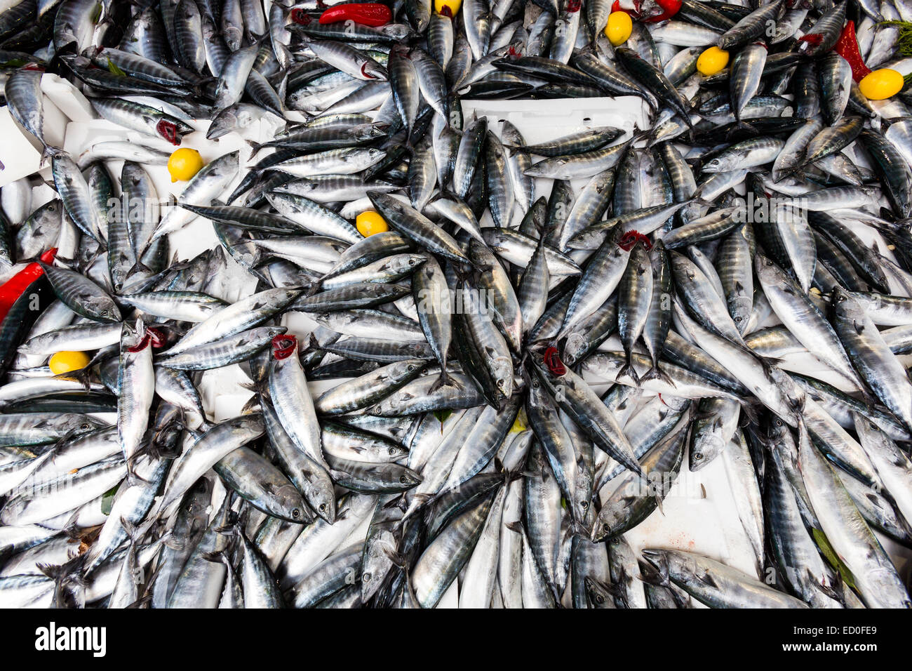 Horse Mackerel fish for sale at a Turkish market street Stock Photo Alamy