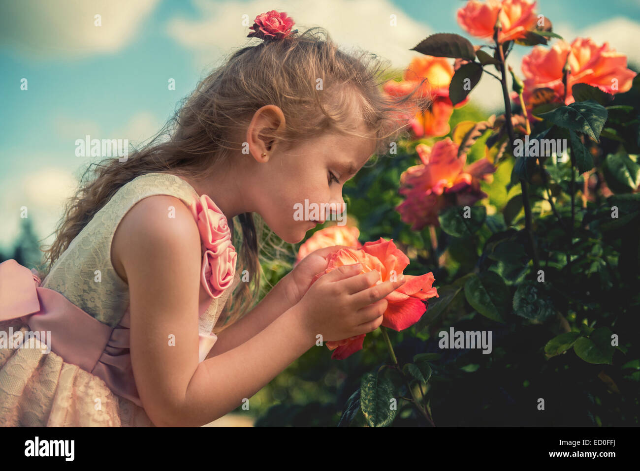 Girl (4-5) smelling flower Stock Photo