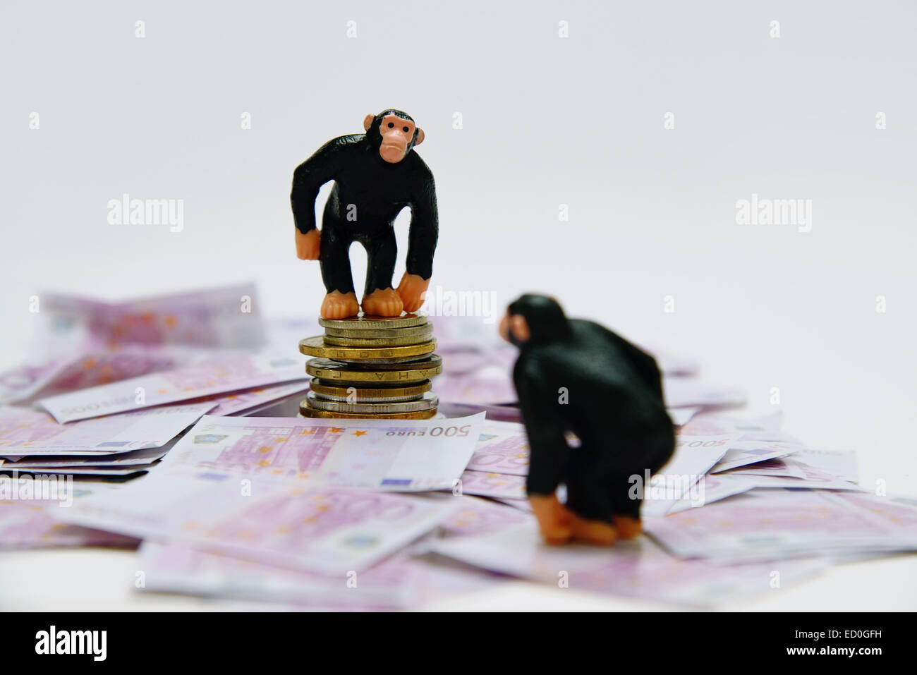 monkey banker and borrower Stock Photo