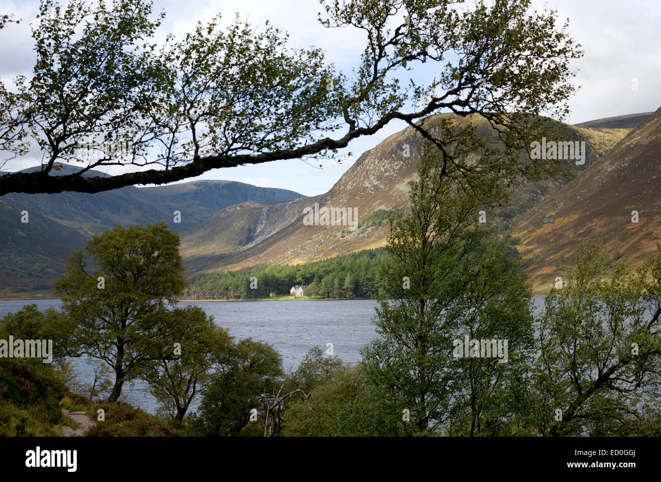 A framed view of Glas allt Shiel on the banks of Loch Muick in the Cairngorms National Park. Stock Photo