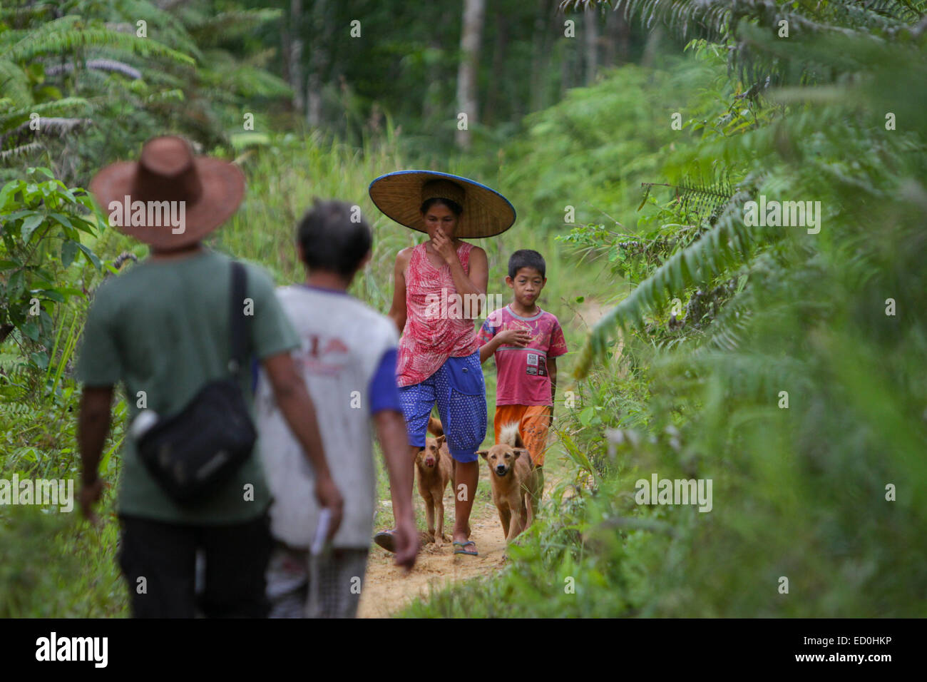 A woman with a child and dogs walking on a rural pathway, travelling in opposite direction to men during an ecotourism assessment. Stock Photo