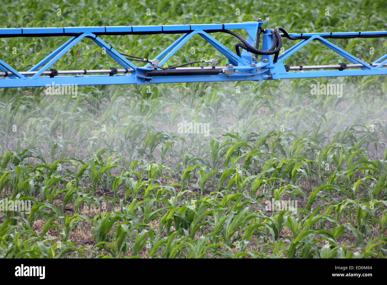 The sprayer treats wheat against diseases Stock Photo