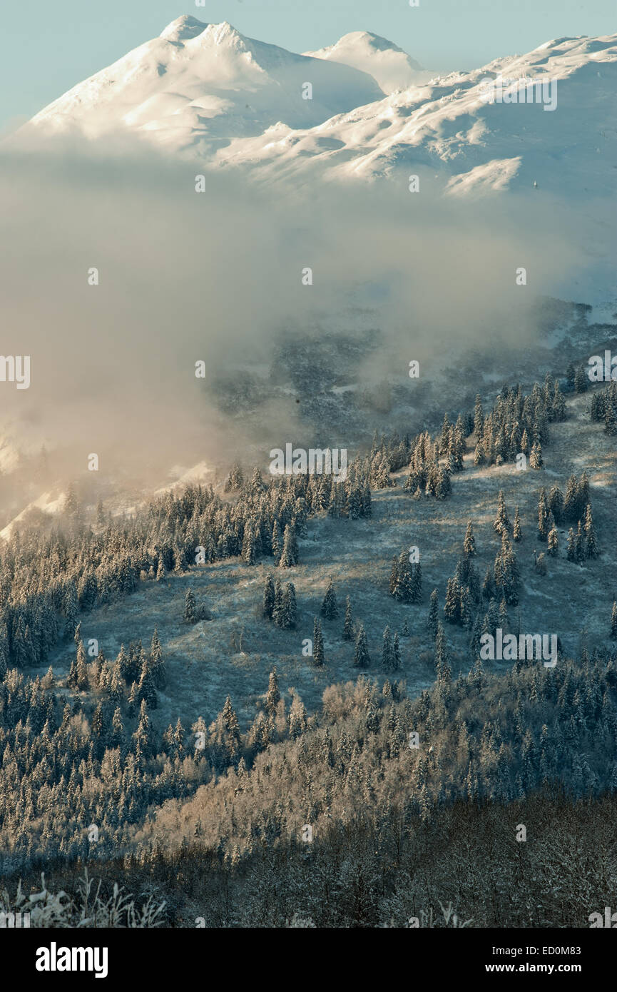 The Chilkat Valley under a covering of snow, with mountains behind. Southeast Alaska. Stock Photo