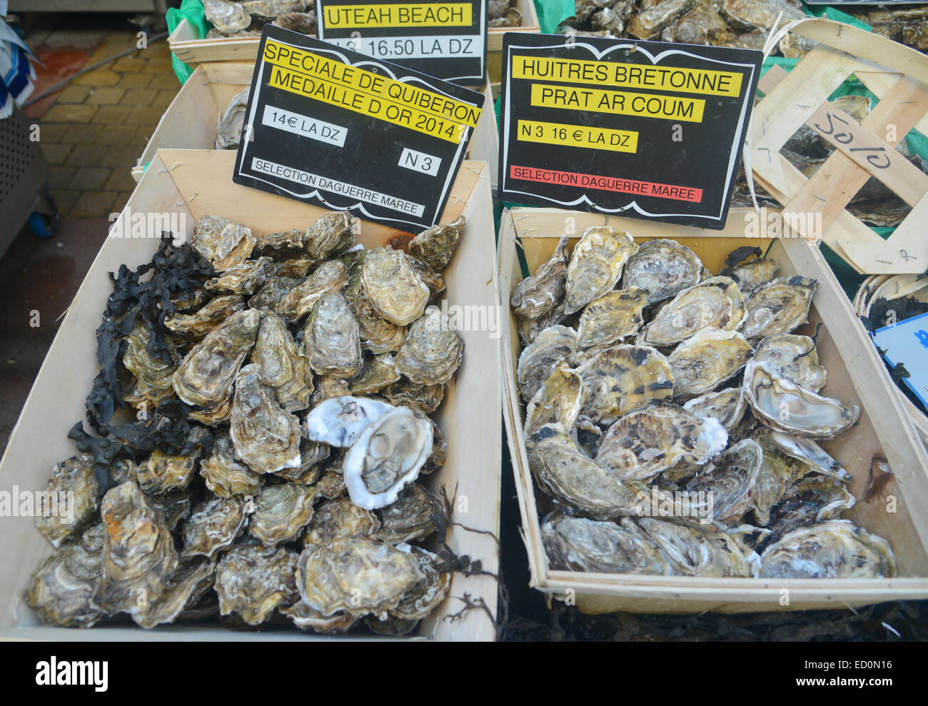 Oysters for sale at a Paris grocer Stock Photo Alamy