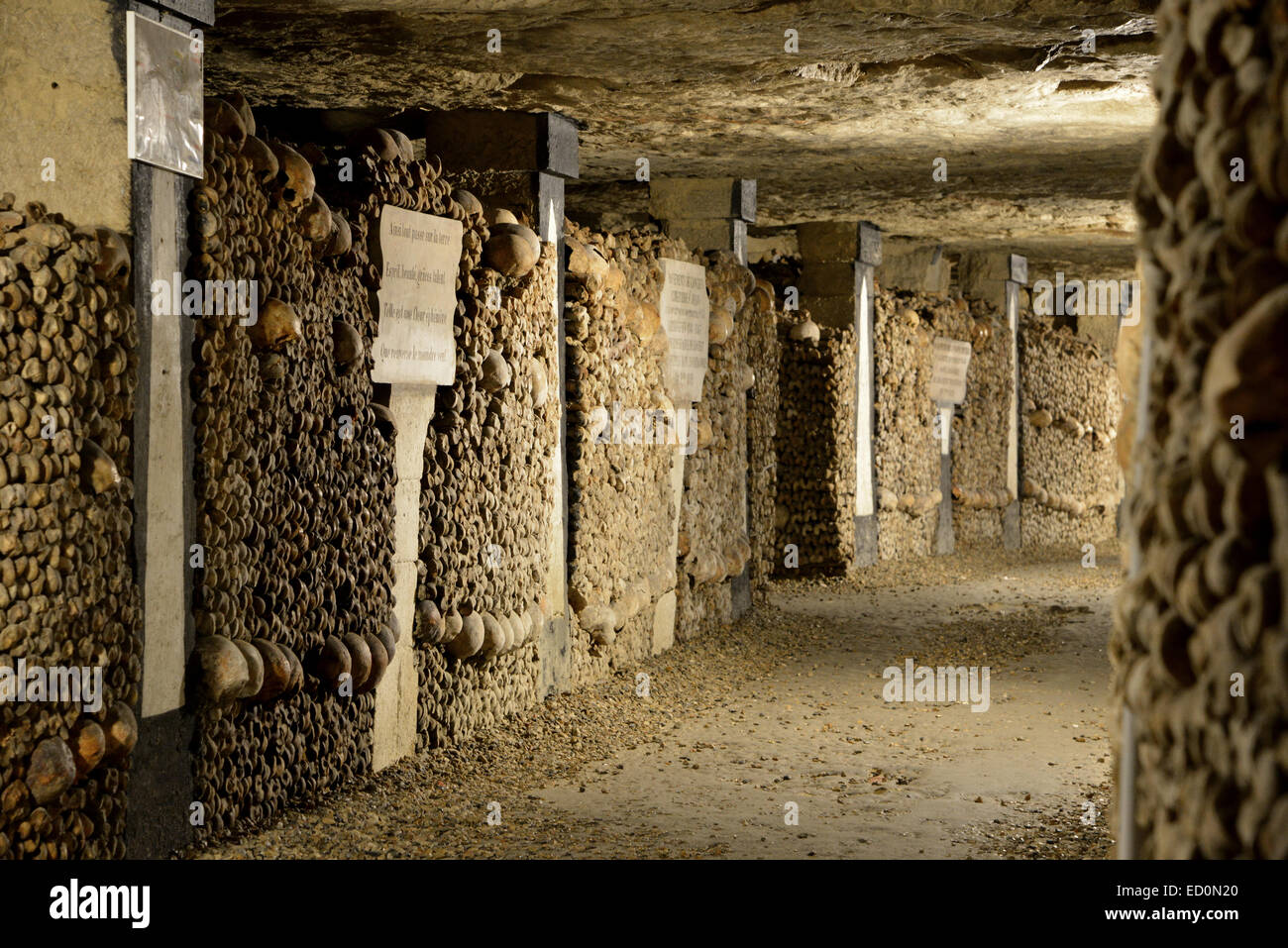 Millions of skulls and bones line the tunnels of the Paris
