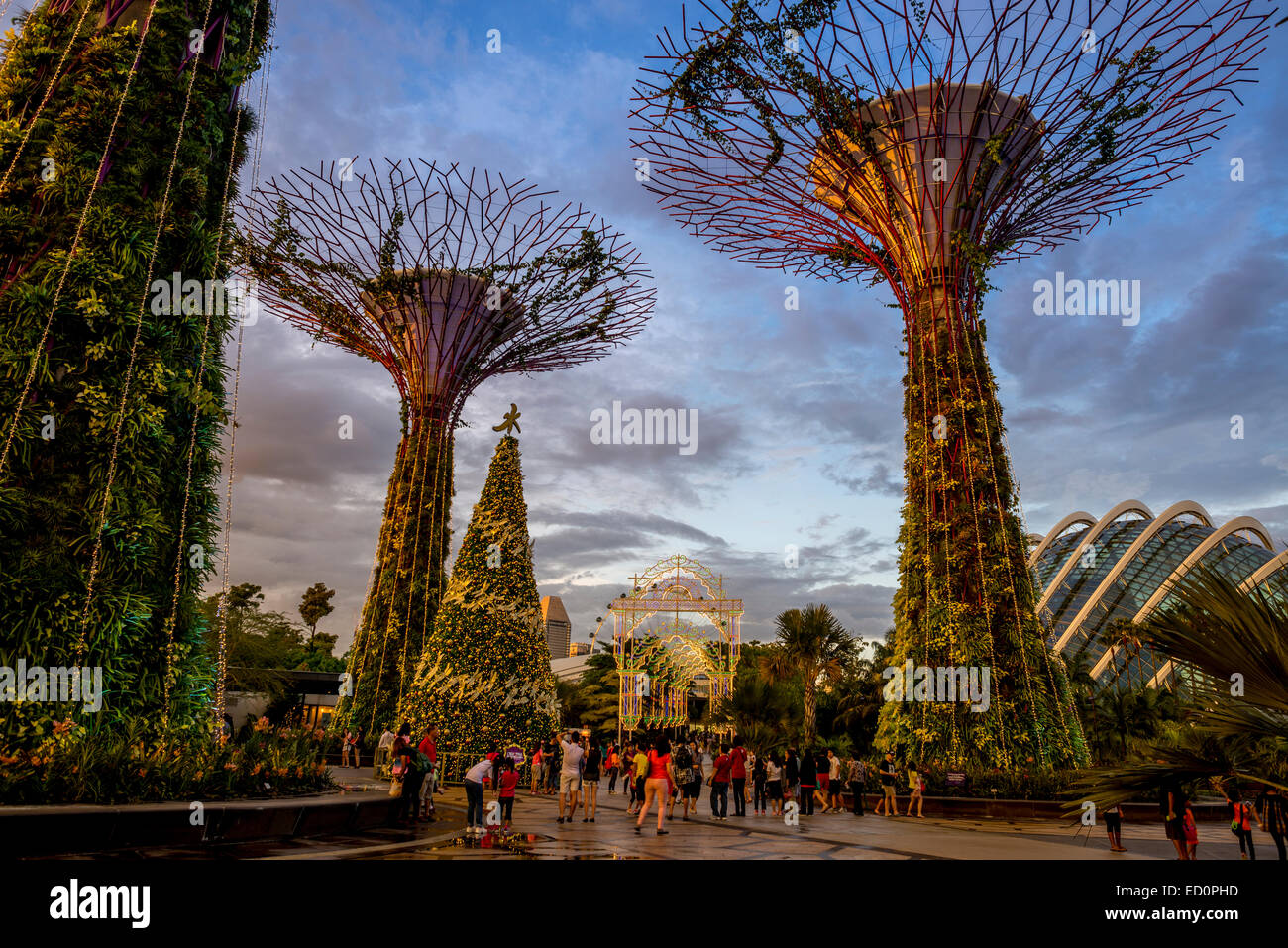 Christmas tree on Gardens By The Bay, Singapore with view of Flower