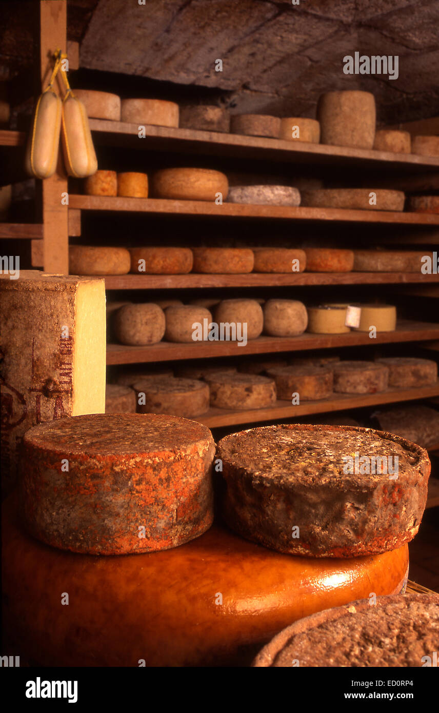 Cheeses in producer's cave Stock Photo