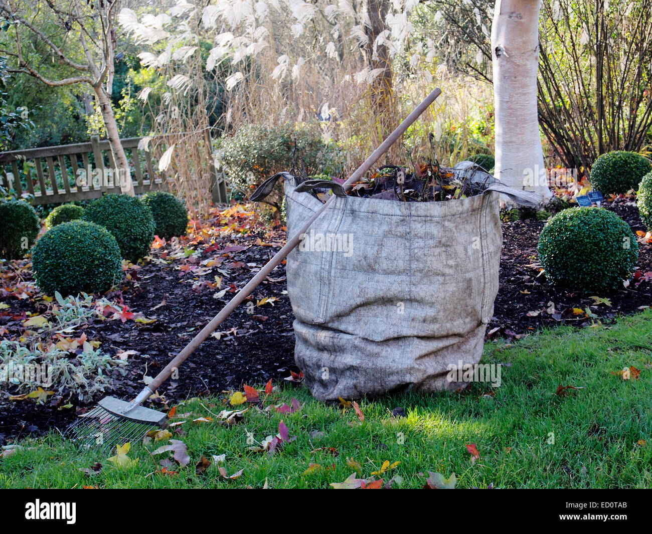 Keeping the garden tidy a leaf rake and large bag of leaves left