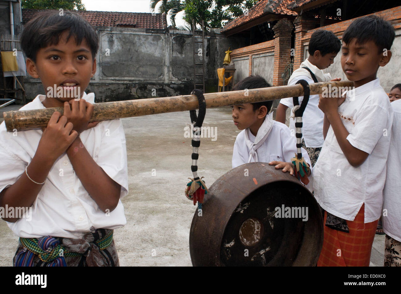 Several young people play music through the streets of Ubud during the celebration of Galungan. Galungan festival, the most important of Bali, symbolizes the victory of Drama (virtue) over Adharma (evil). During the days that last Balinese parade celebrations across the island adorned with long bamboo sticks (penjor) decorated with ears of corn, coconut, rice cakes and cupcakes as well as white or yellow fabrics, fruits flowers. This festival is celebrated every 210 days. Ubud. Bali. Stock Photo