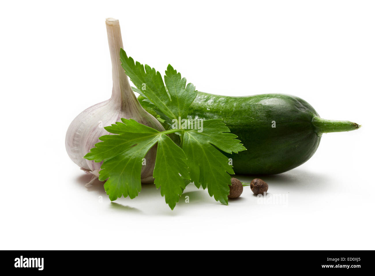 Garlic, parsley, cucumber and pepper isolated on the white background Stock Photo