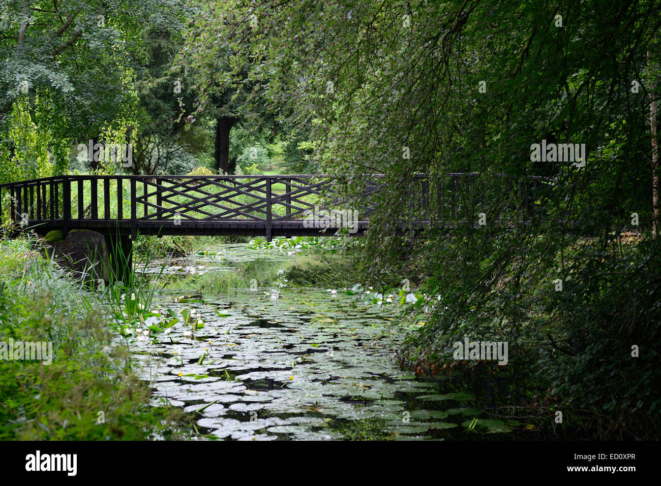 wood wooden bridge over lake pond water lily lilies imitate monet impressionist impressionistic gardens water feature RM Floral Stock Photo
