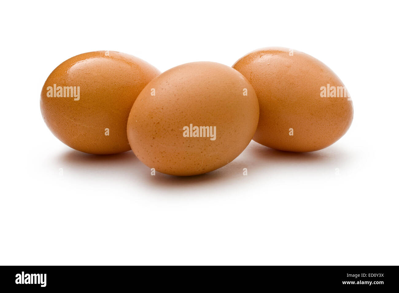 Eggs on the white background Stock Photo
