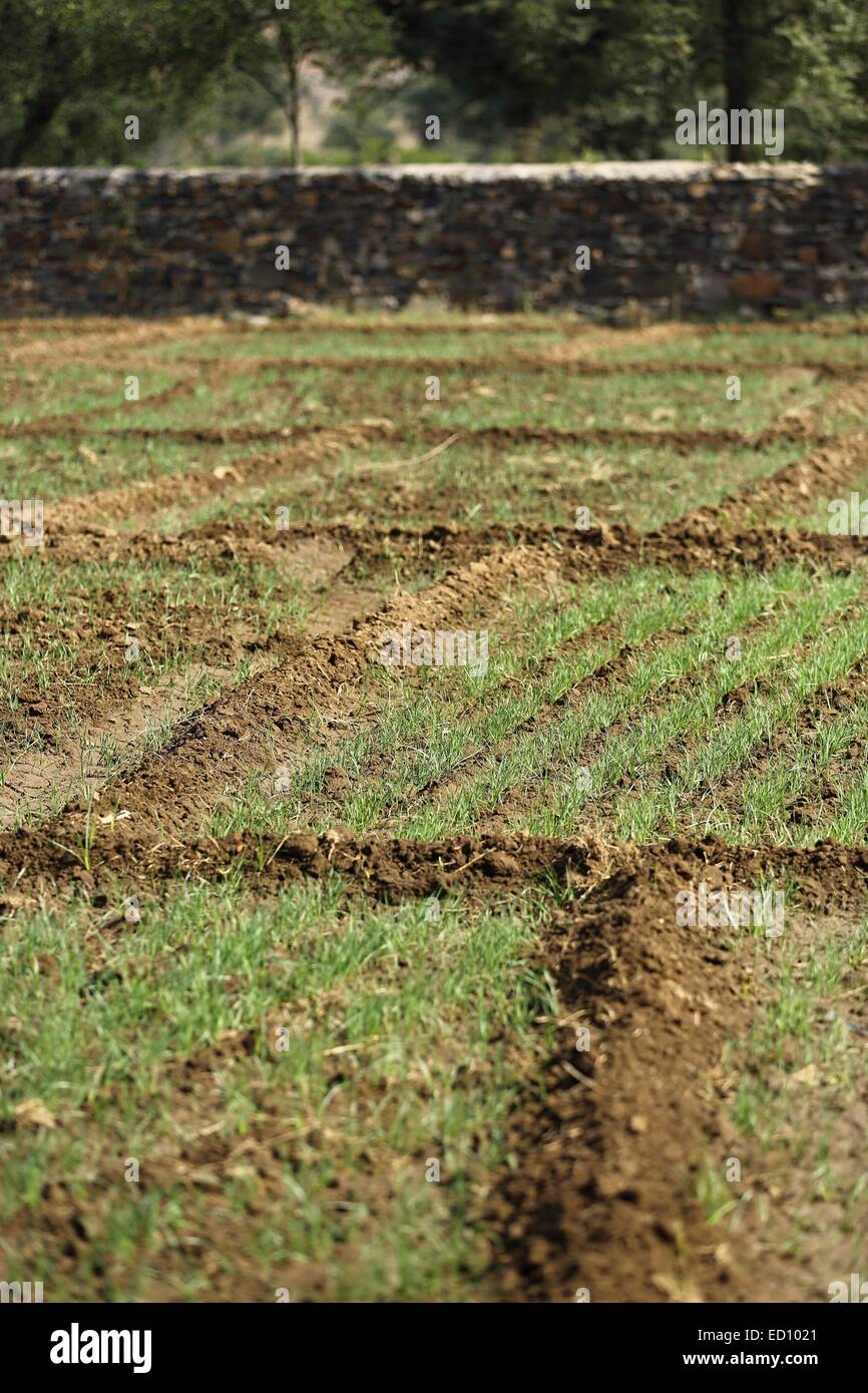 Agriculture land hires stock photography and images Alamy