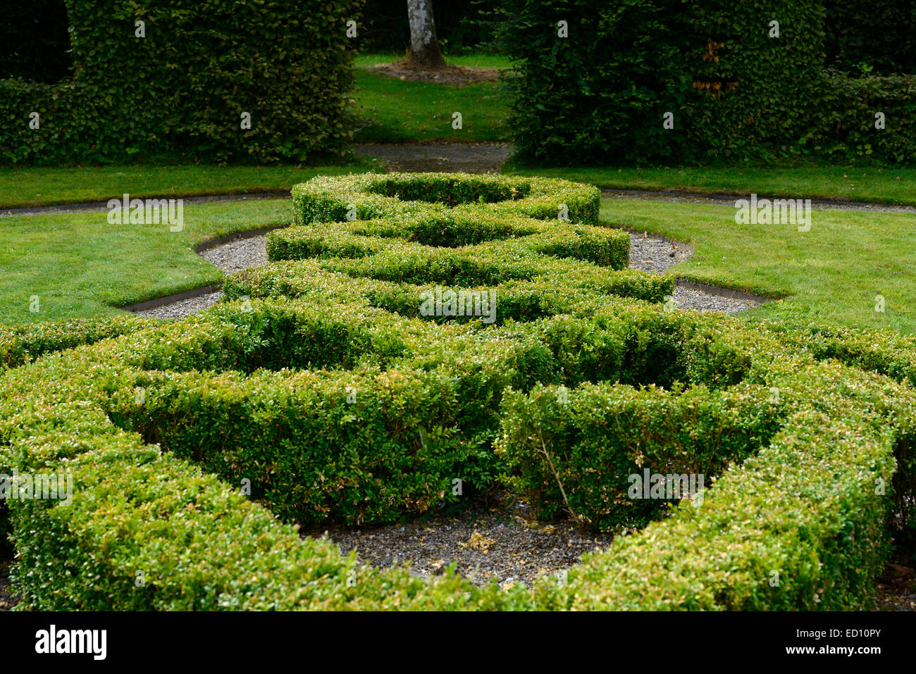 box hedge hedging parterre clipped cut design designed formal garden