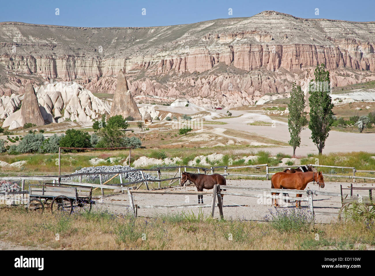 Horses in wooden corral and eroded white and pink sandstone rock formations at Cappadocia in Central Anatolia, Turkey Stock Photo