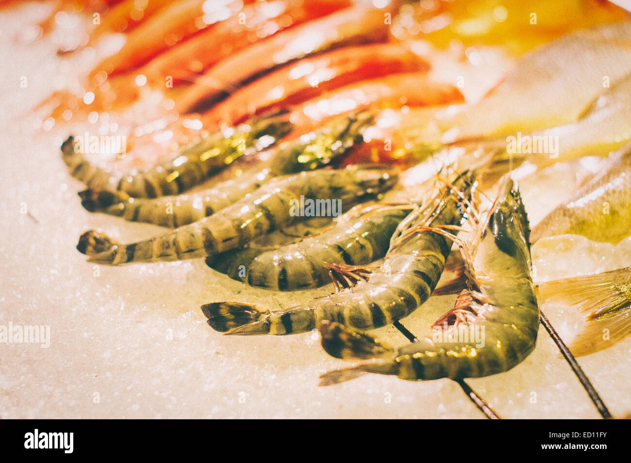 fresh giant tiger prawn seafood as gourmet food concepts. Stock Photo