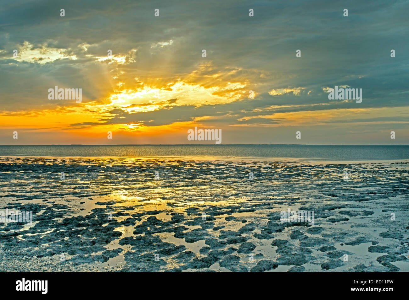 Sunset in the Wadden Sea, East Frisia, Lower Saxony, Germany, Europe Stock Photo