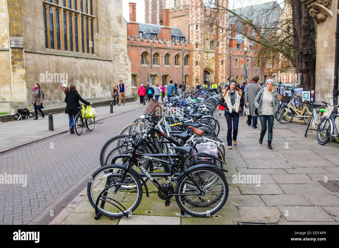 Bicycles parked at a bike rack next to cycle lane in Cambridge