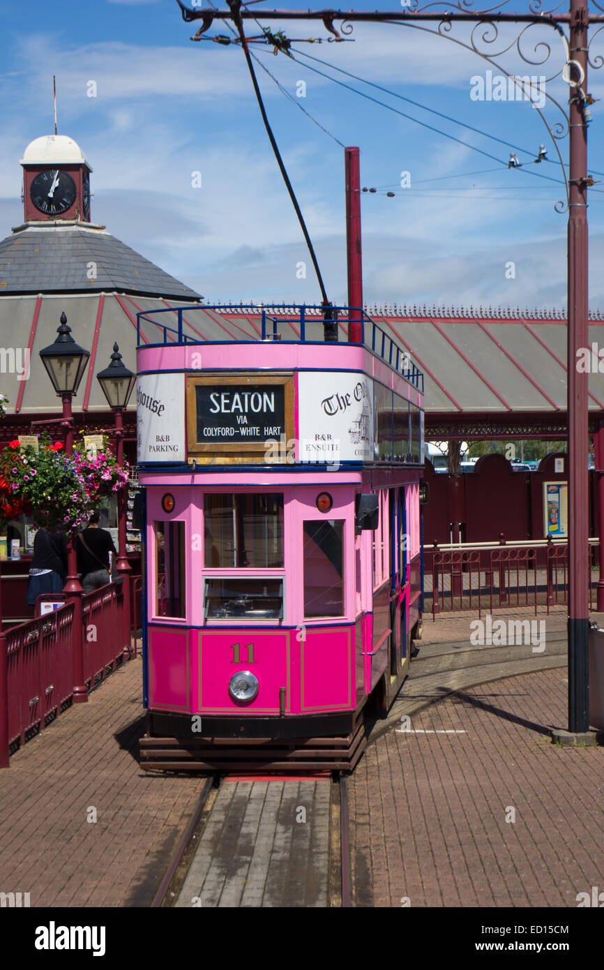 The Seaton pink electric tram at the station awaiting more tourists Stock Photo