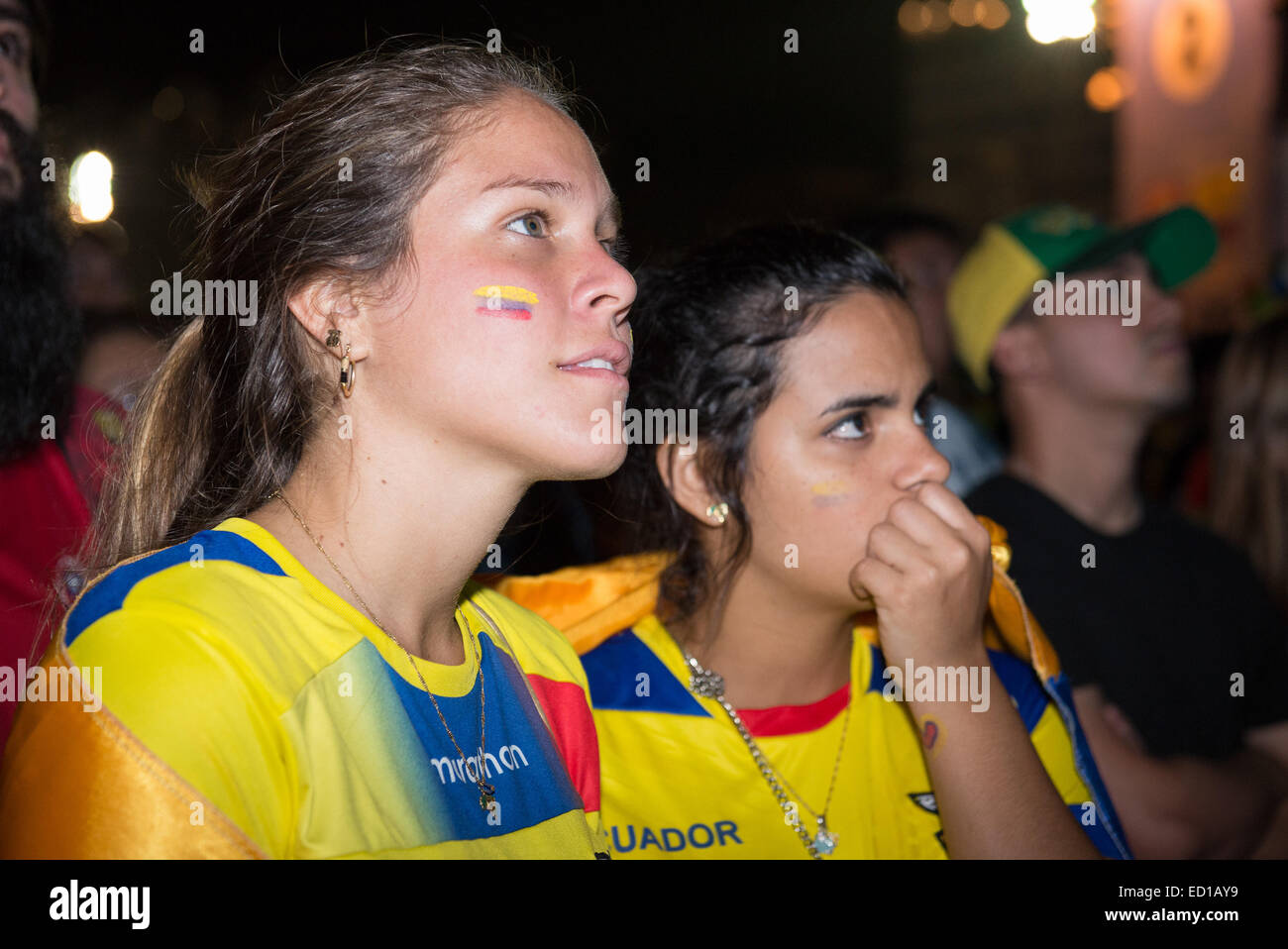 2014 fifa world cup fan of ecuador hi-res stock photography and images ...