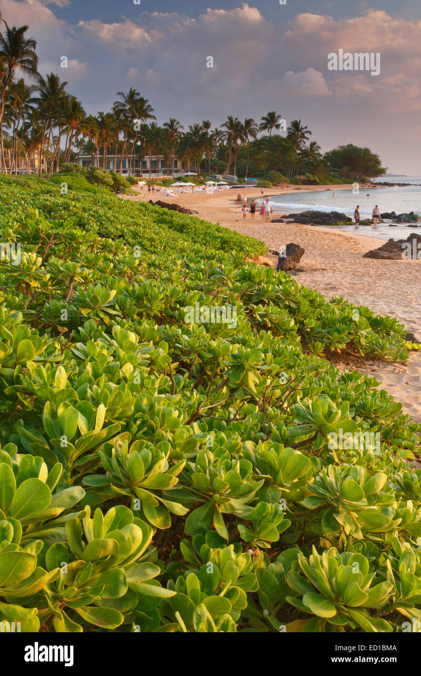 Mokapu Island Hi Res Stock Photography And Images Alamy