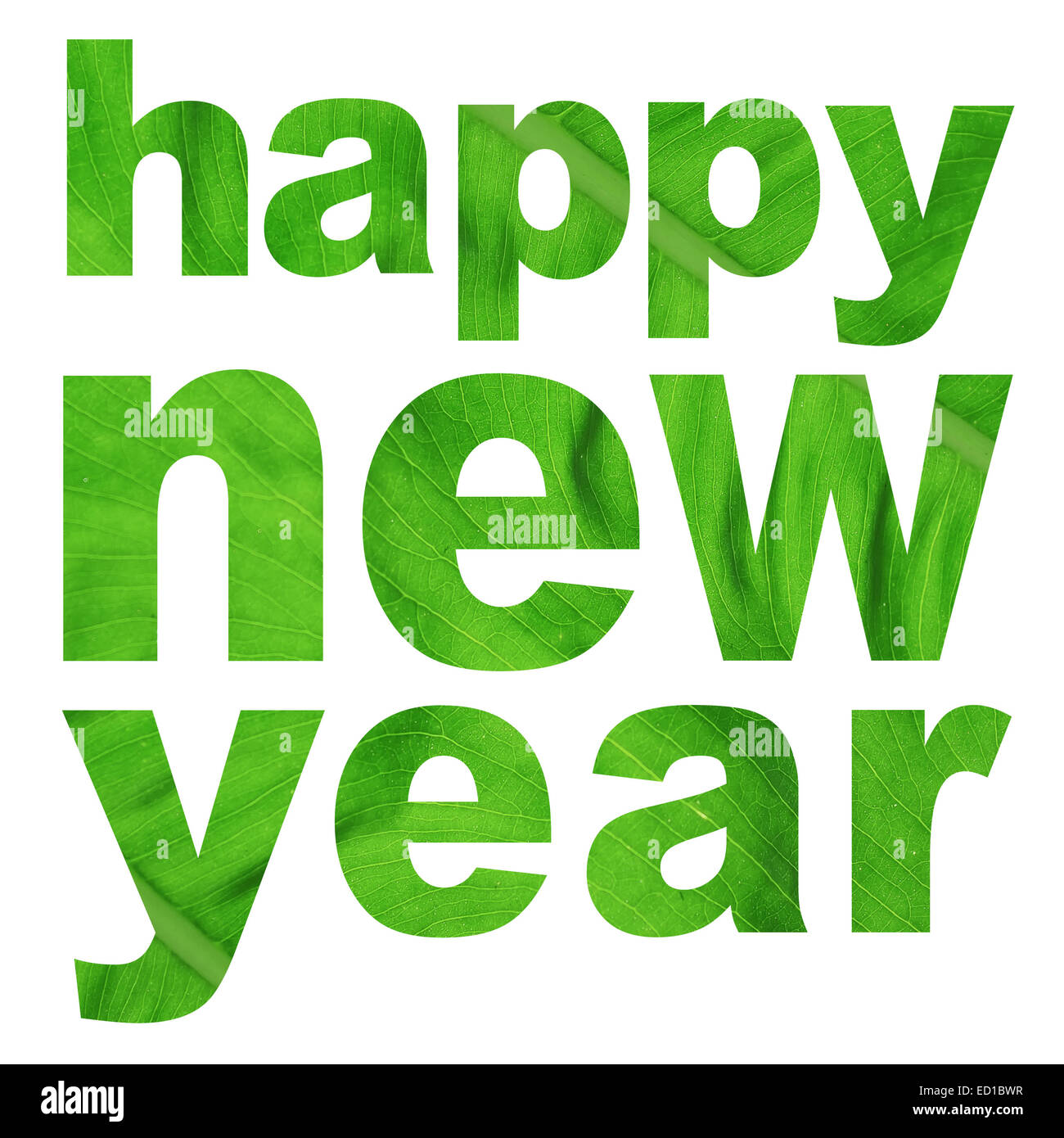 word happy new year made from green leaf picture on white background Stock Photo