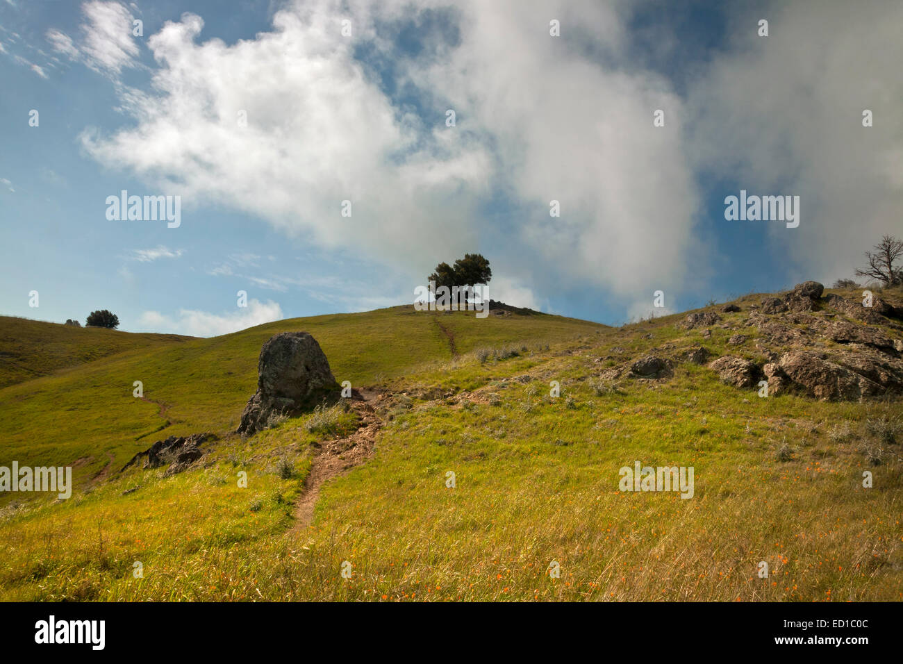 West ridgecrest boulevard hires stock photography and images Alamy