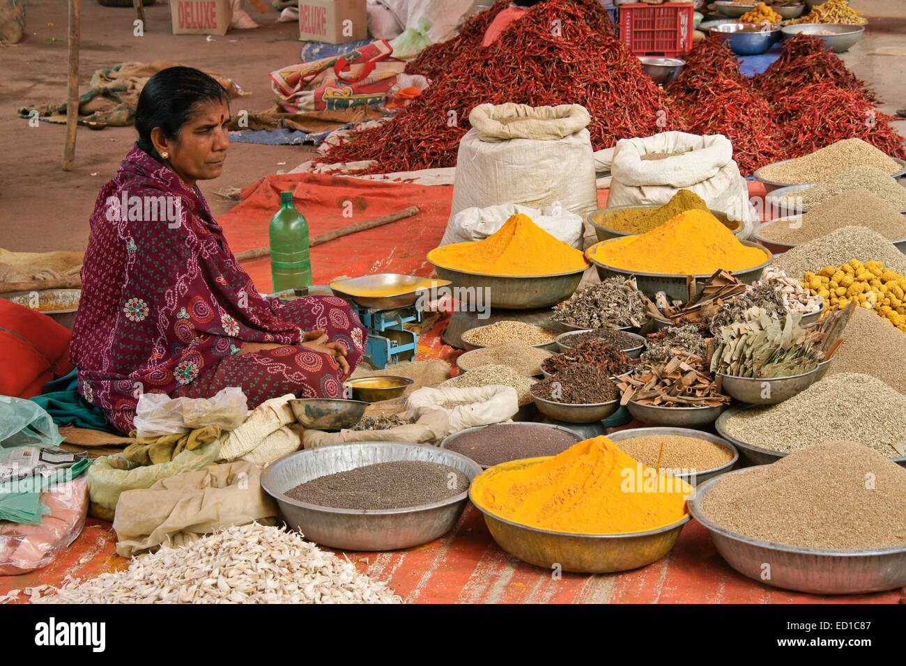 Woman selling spices at openair market in ChhotaUdepur, Gujarat