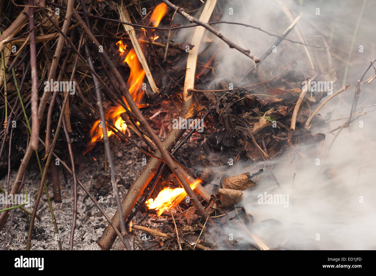 smoky bonfire getting rid of garden rubbish cuttings leaves twigs