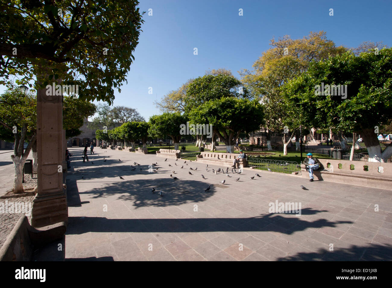 Plaza de Armas, Morelia is meticulously maintained and offers a restful