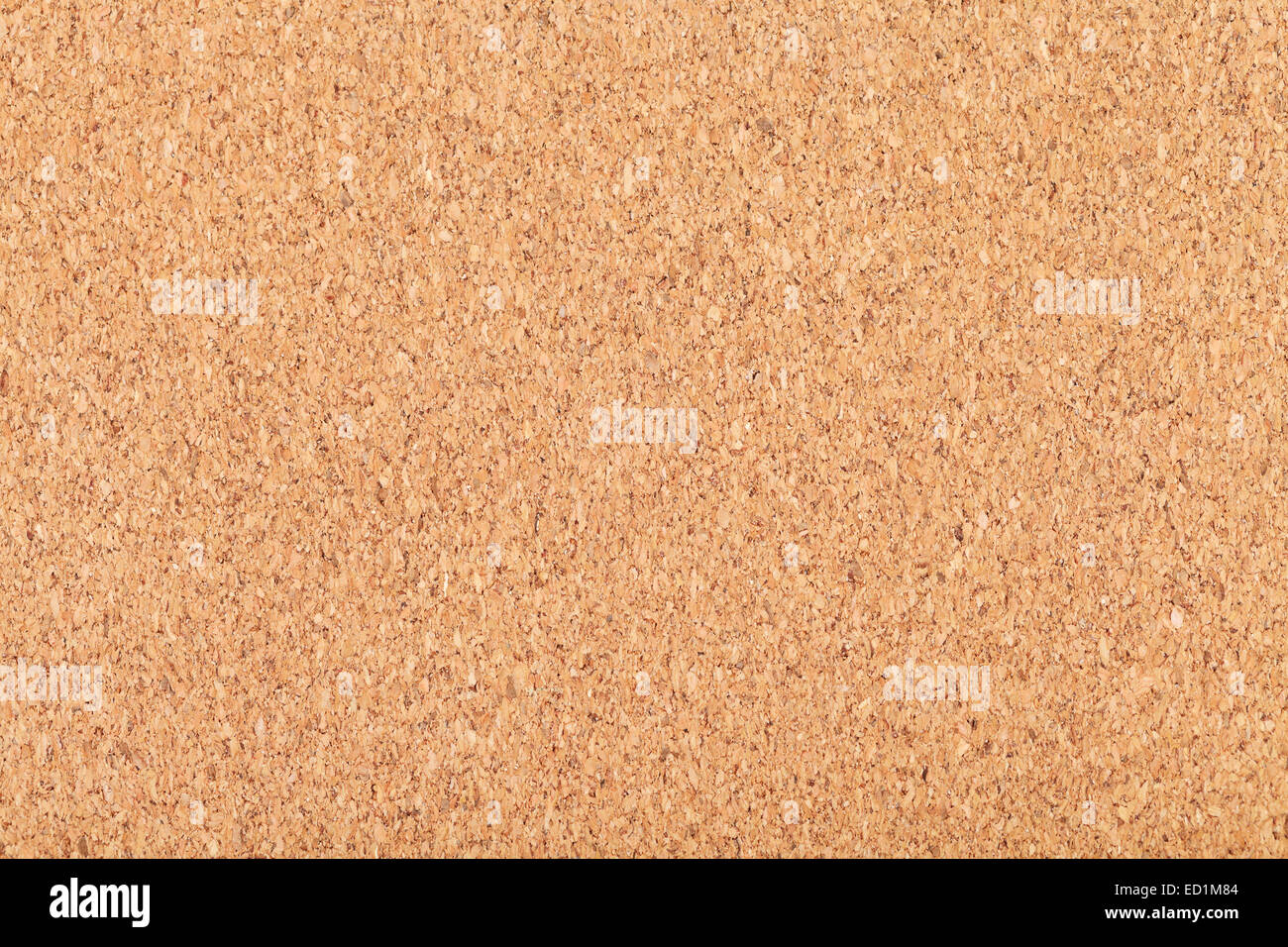 background from sheet of natural wooden cork close up Stock Photo