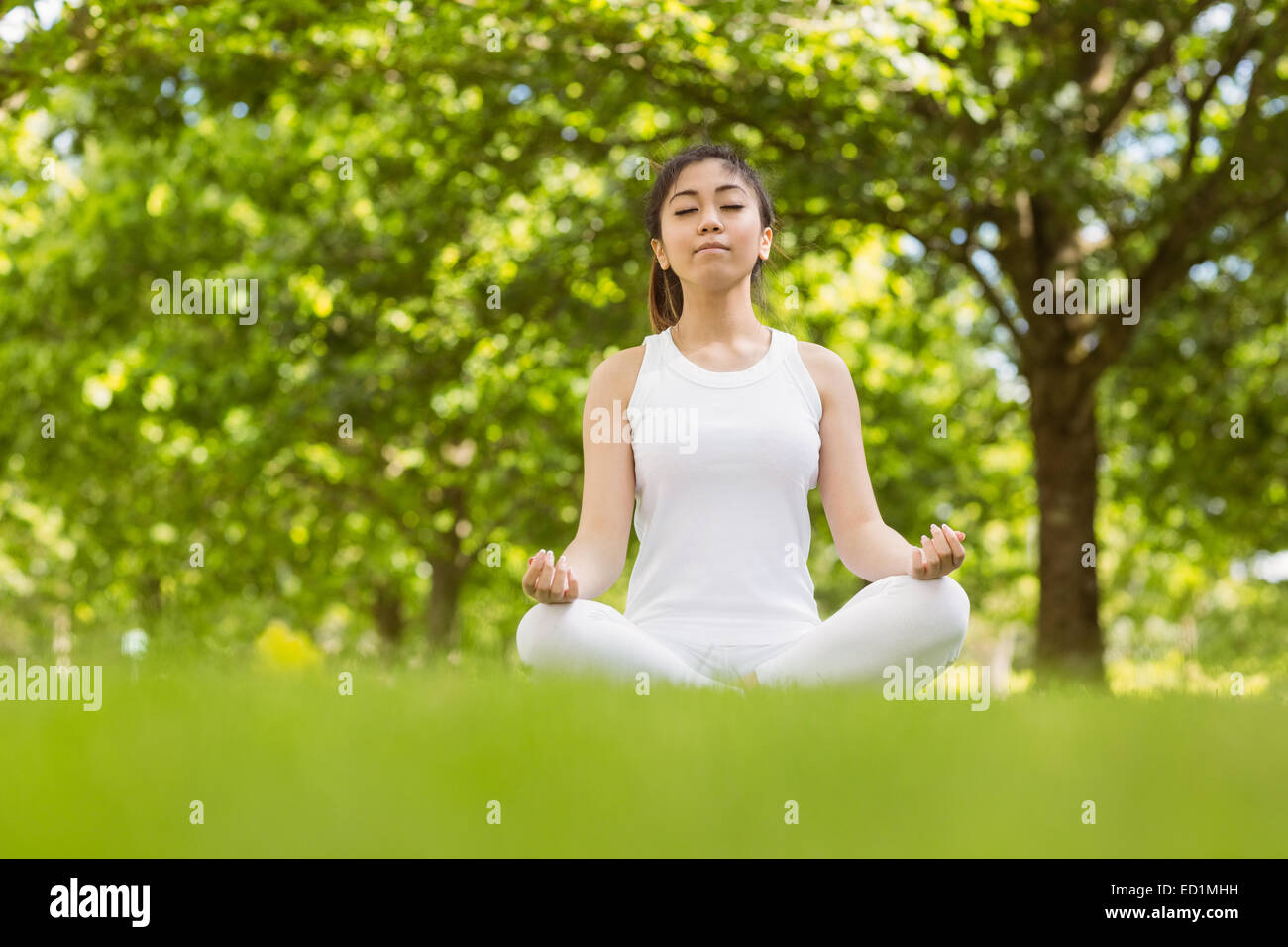 Healthy young woman sitting in lotus pose at park Stock Photo