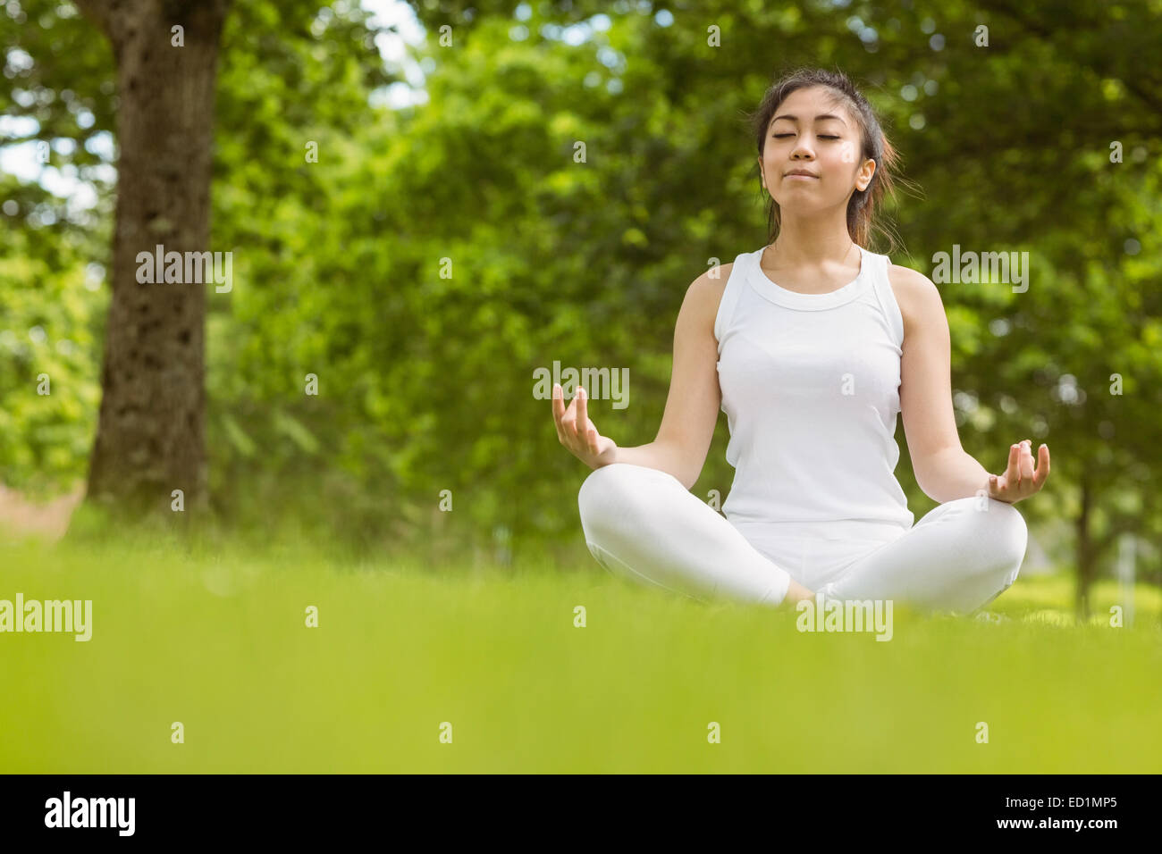 Beautiful young woman sitting in lotus pose at park Stock Photo