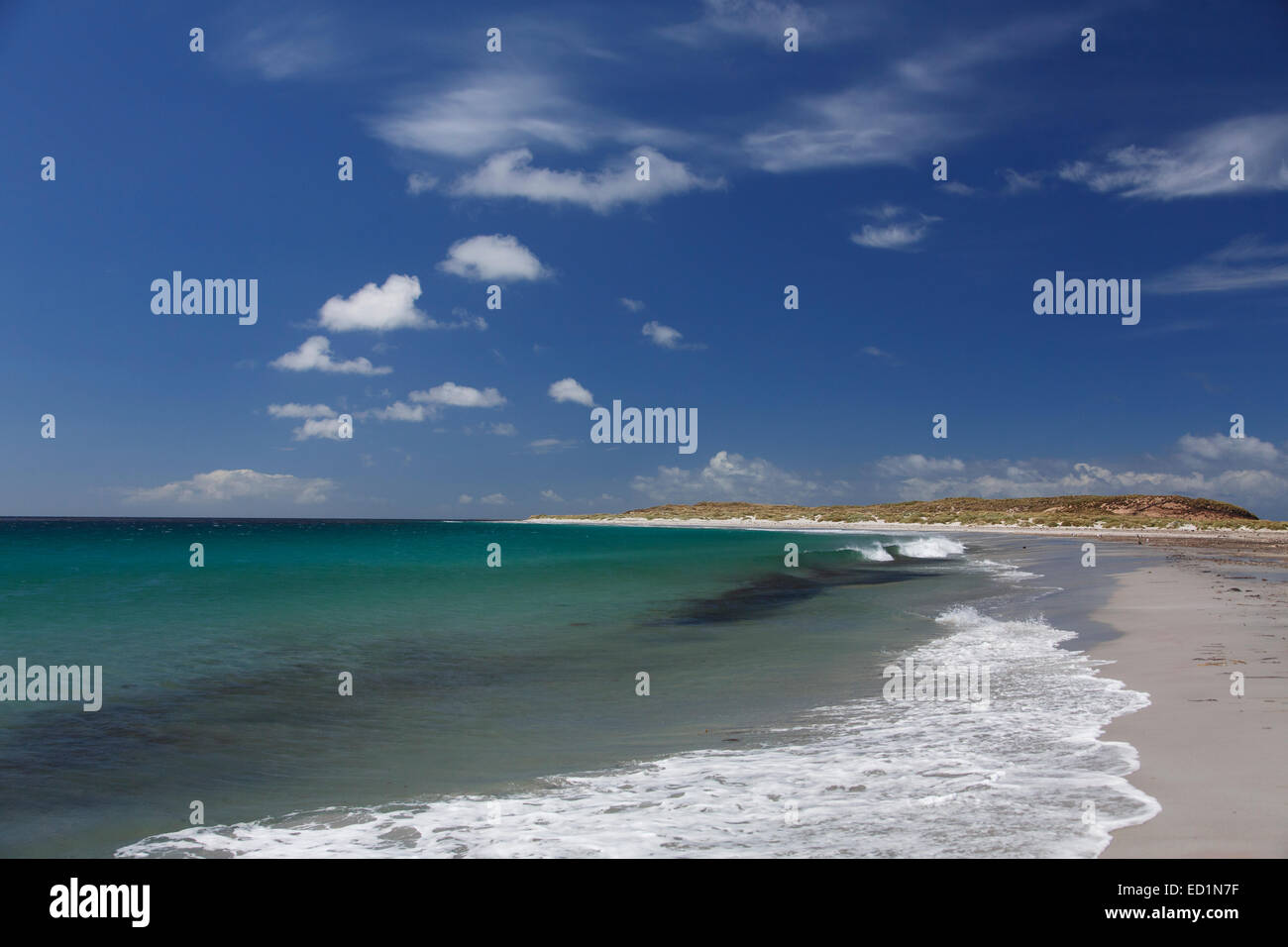 Sea Lion Island, Falkland Islands. Stock Photo