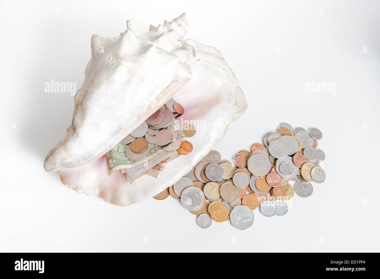 A big shell with money, coins and banknotes, coming out from. Sign of luck and happiness Stock Photo