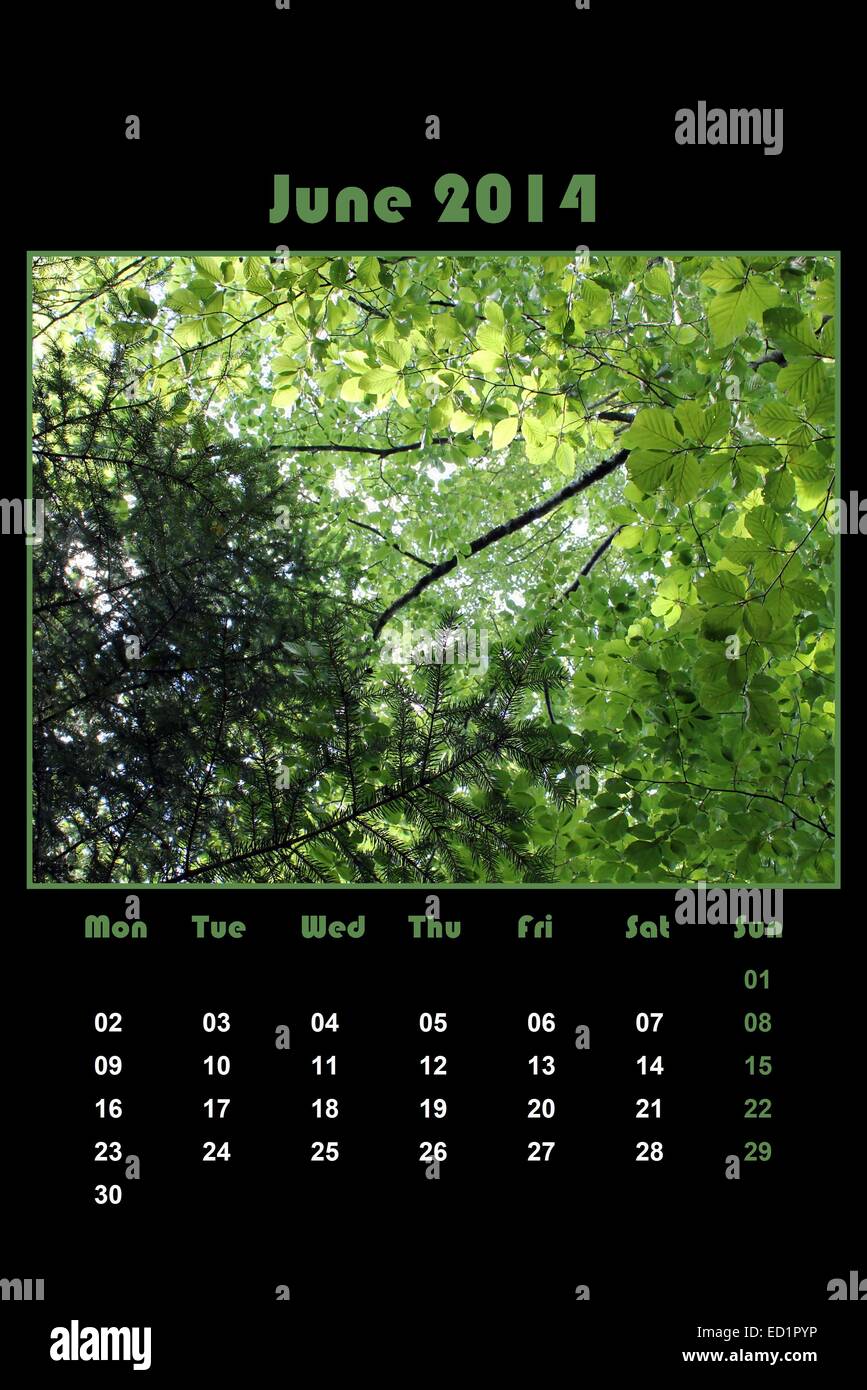 Colorful english calendar for june 2014 in black background, green