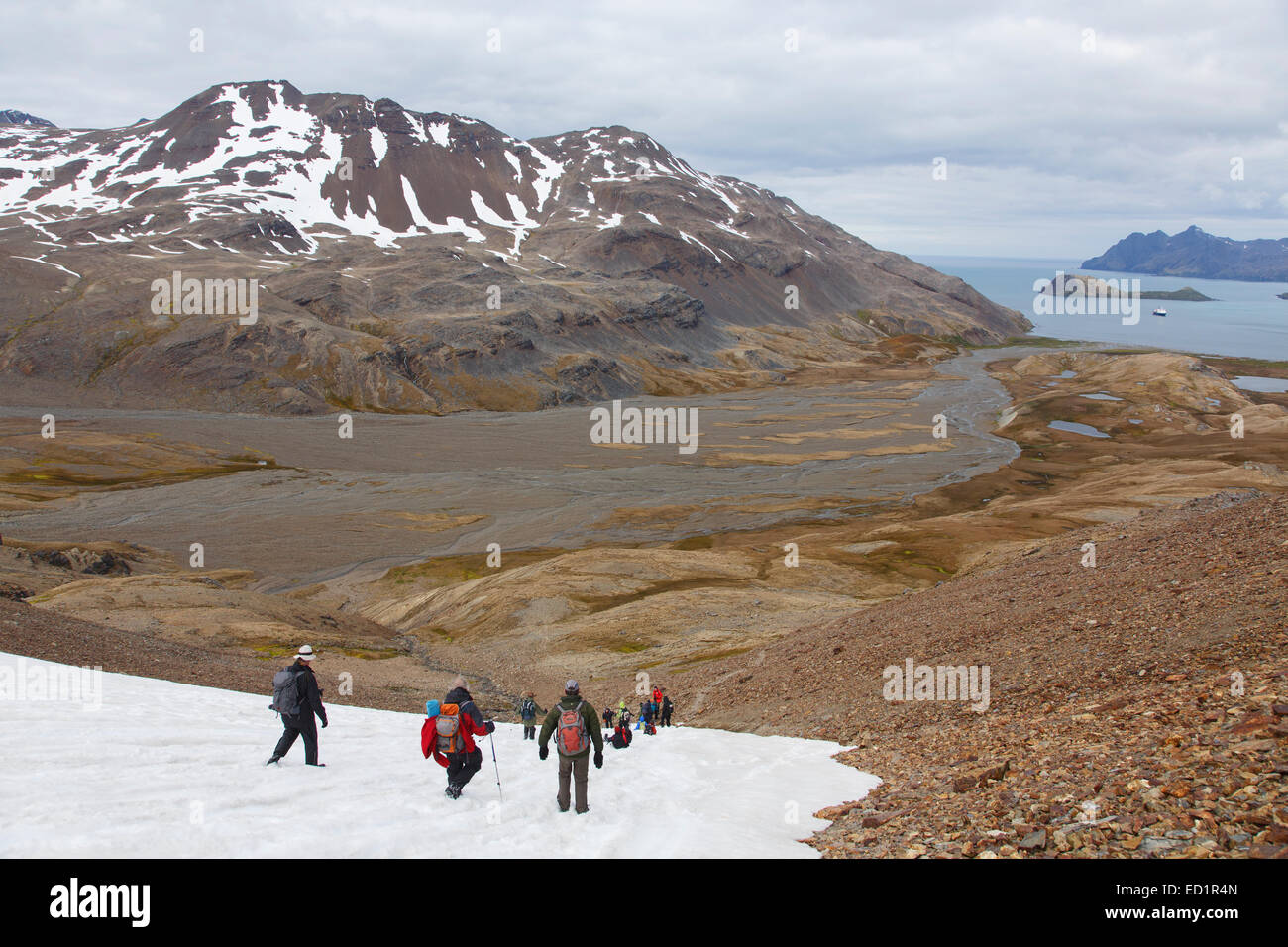 Visitors hike between Fortuna Bay and Stromness, the last portion of Shackleton's famous hike, South Georgia Island, Antarctica Stock Photo