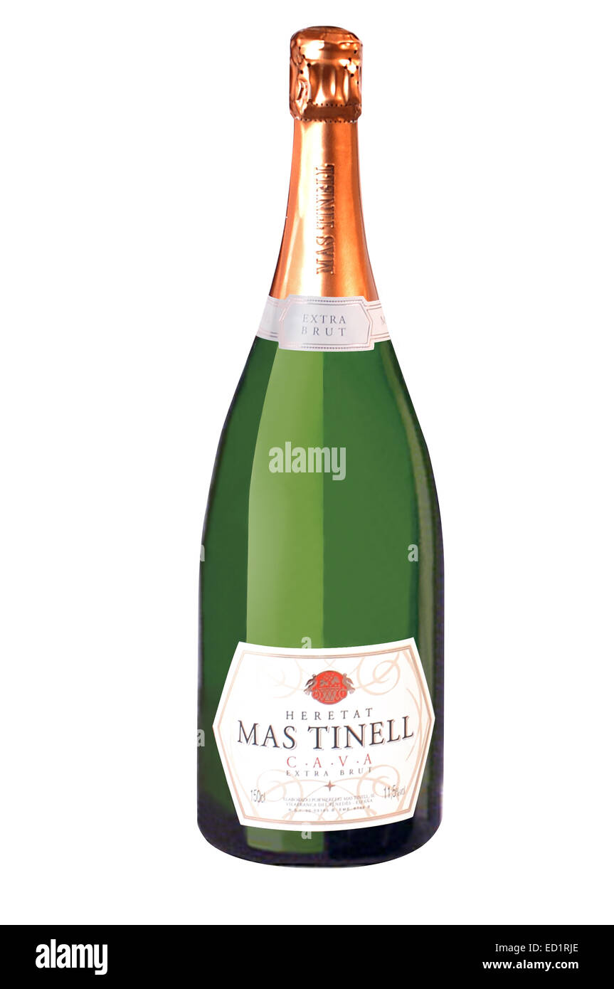 Sinewi gehandicapt steeg Spanish Bottle of Cava Sparkling wine. Catalonia cava mastinell. Founded in  1989, this company produces 300 bottles of Cava spar Stock Photo - Alamy