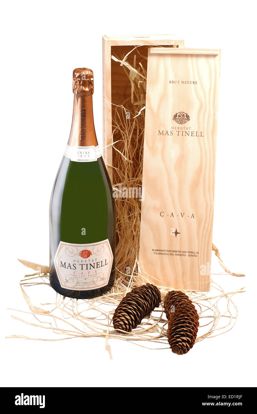 Spanish Bottle of Cava Sparkling wine. Catalonia cava mastinell