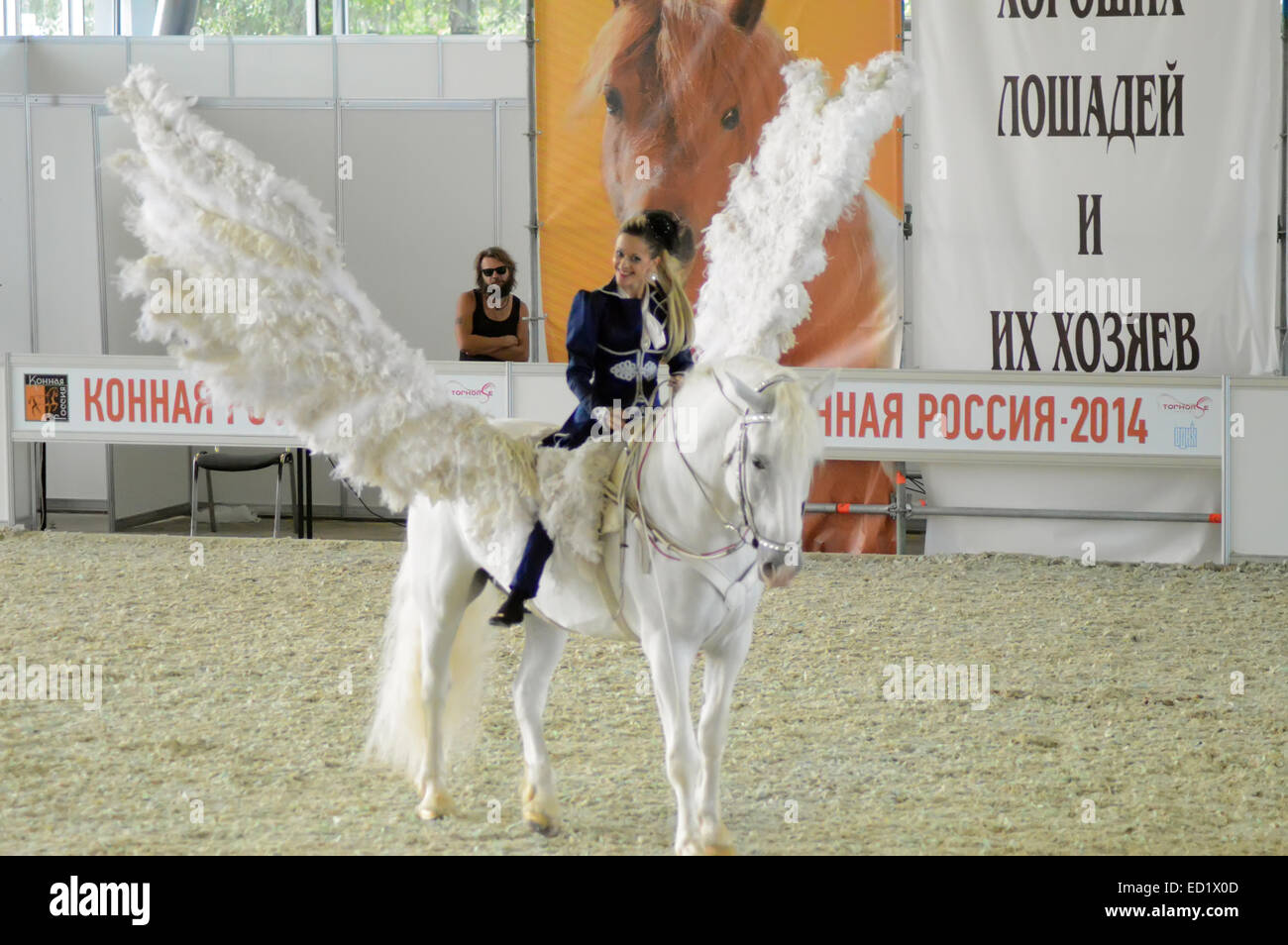 Woman jockey in blue dress International Horse Show. Female rider on a white horse. Pegasus. White Wings Stock Photo