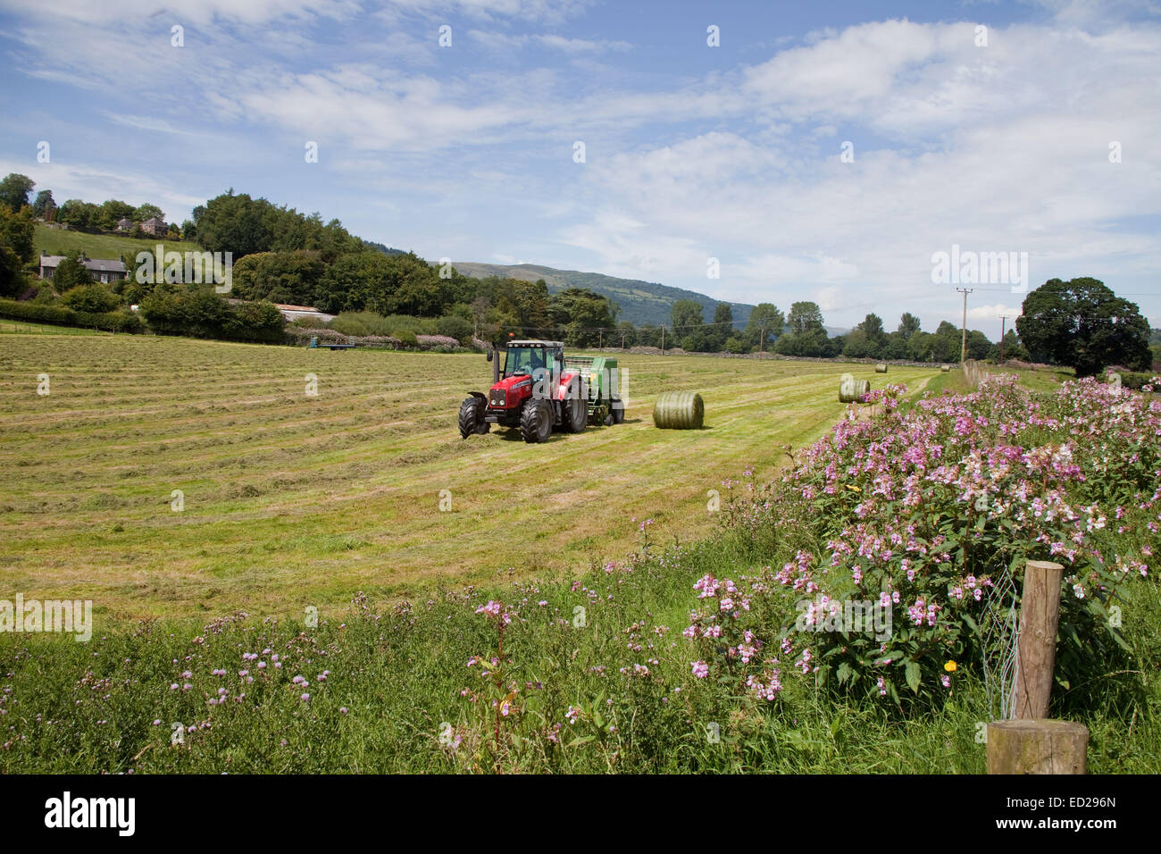 Farming the Conway Valley,in North Wales,the Conway Valley is one of the most beautiful stretches of countryside in Great Britai Stock Photo