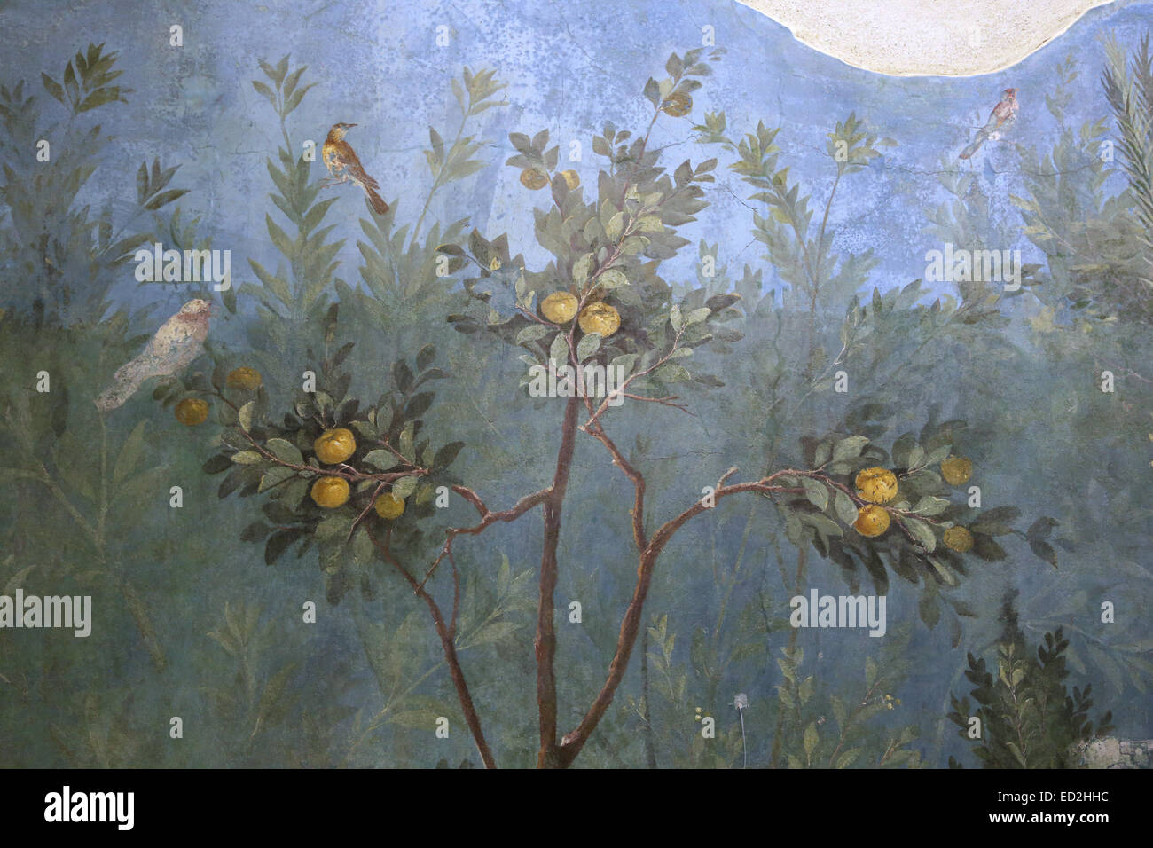 Italy. Rome. Villa of Livia. Painted Garden, removed from the triclinium (dining room) in the Villa of Livia Drusilla. Stock Photo