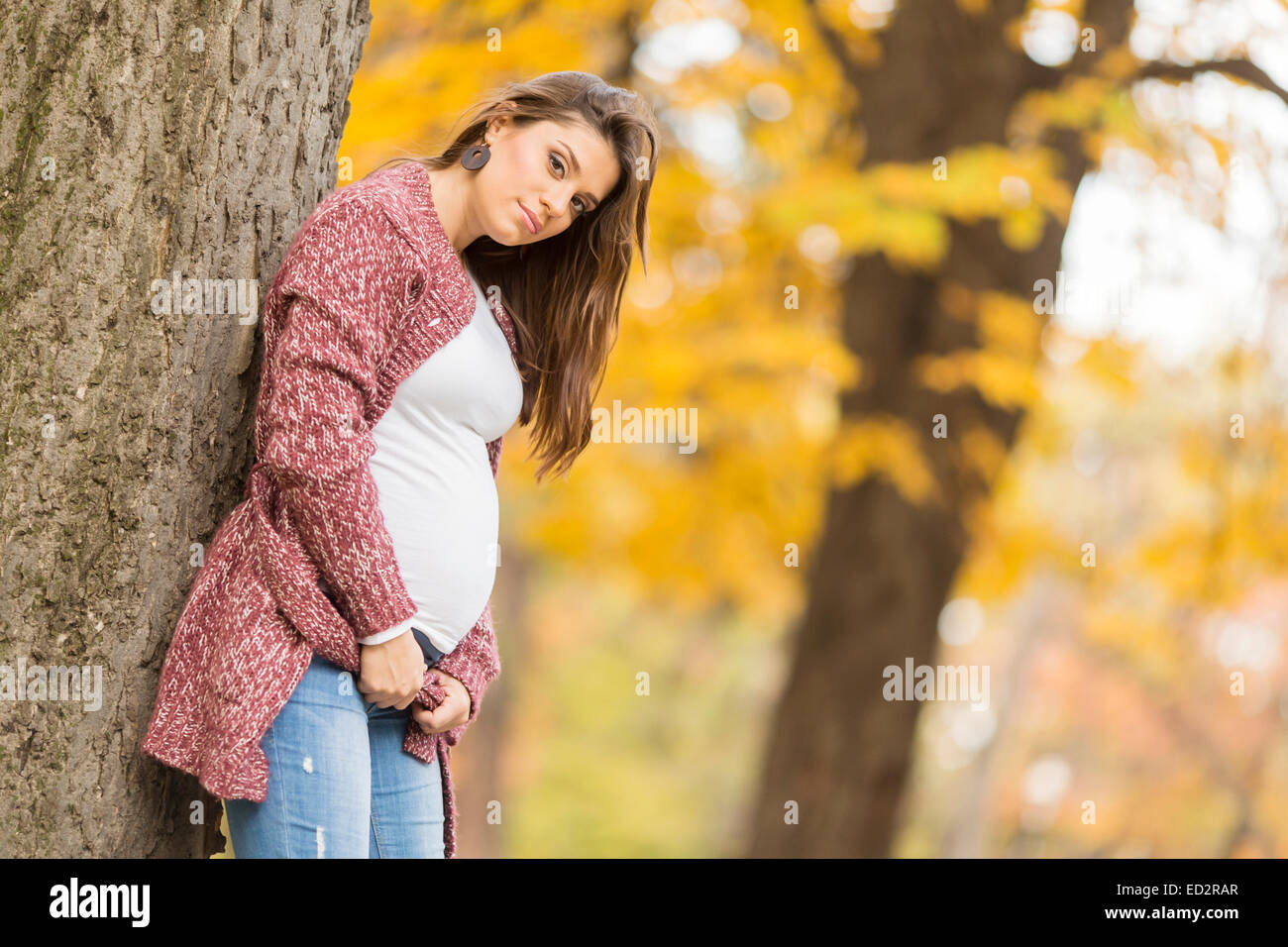 Young pregnant woman in the autumn park Stock Photo - Alamy