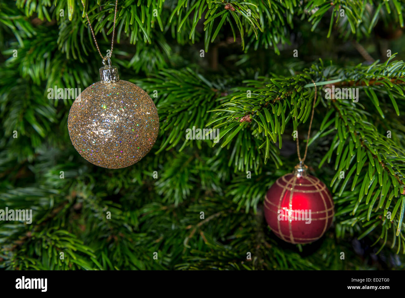 Gold bauble tree hi-res stock photography and images - Alamy